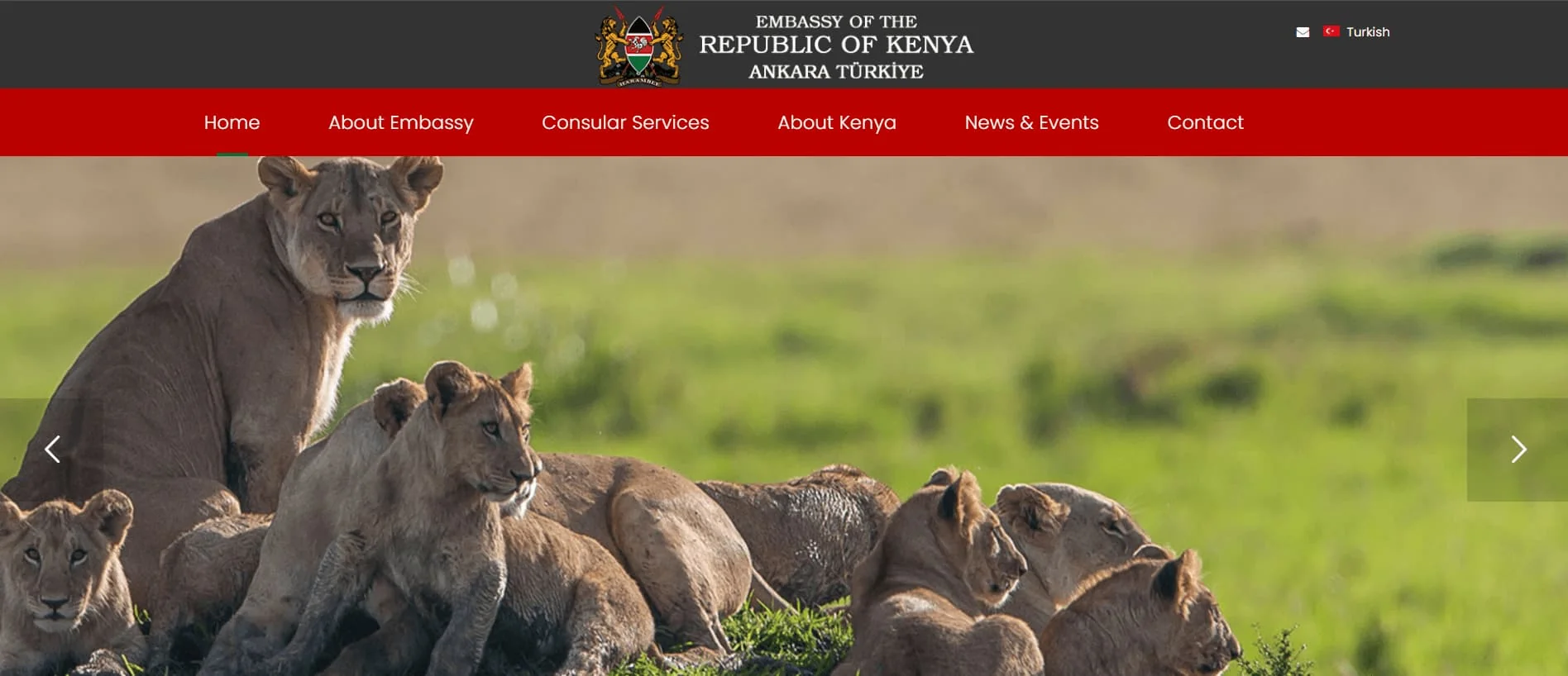 Ankara Kenya Konsolosluğu Websitesi