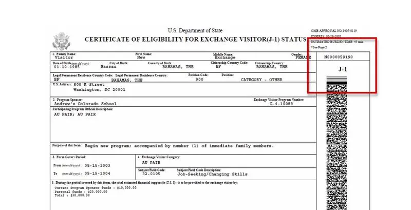 Au Pair Programı DS 2019 Formu