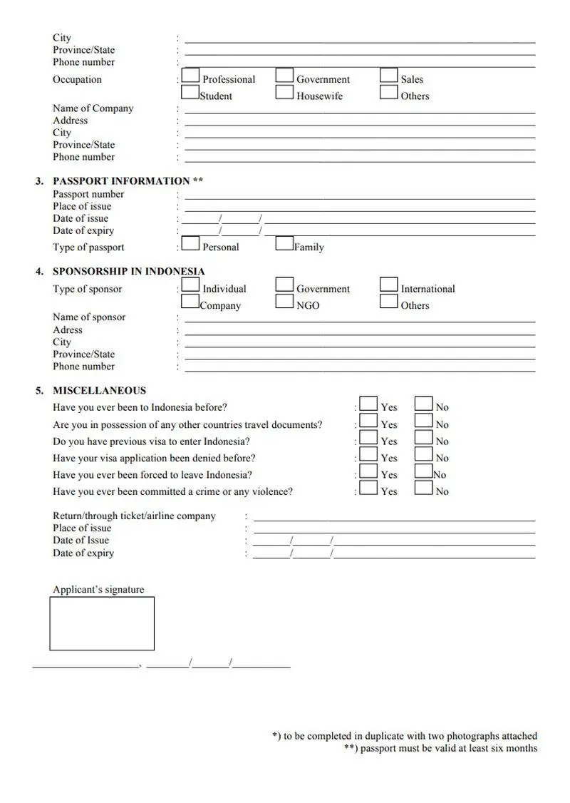 Endonezya Vize Başvuru Formu Görseli 2