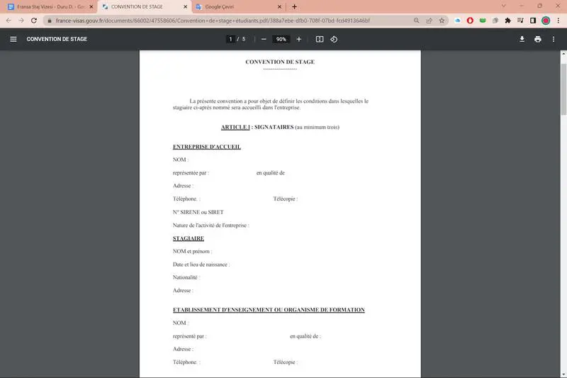 Fransa Staj Vizesi Başvurusu için Staj Sözleşmesi Nasıl Olmalı?