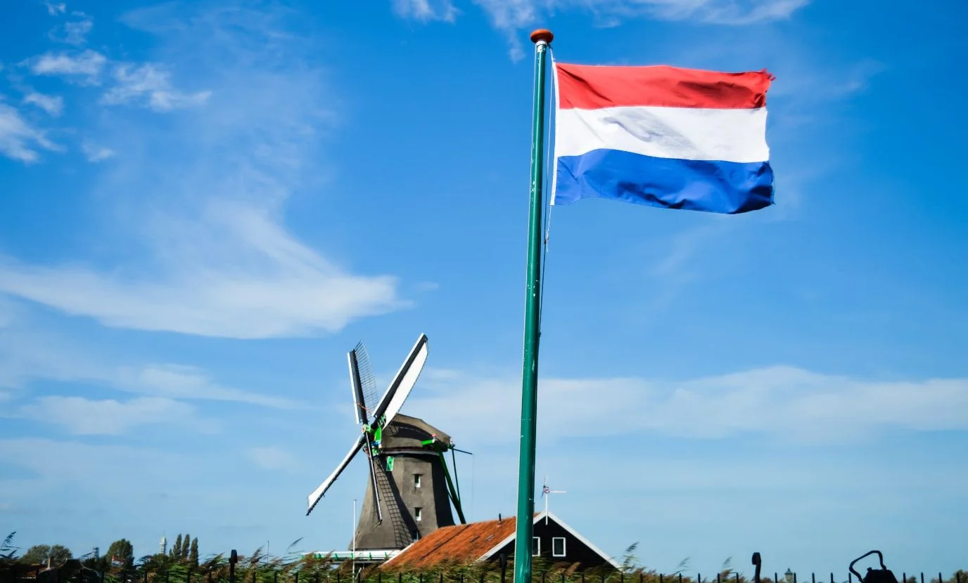 Hollanda Göçmen Alımı