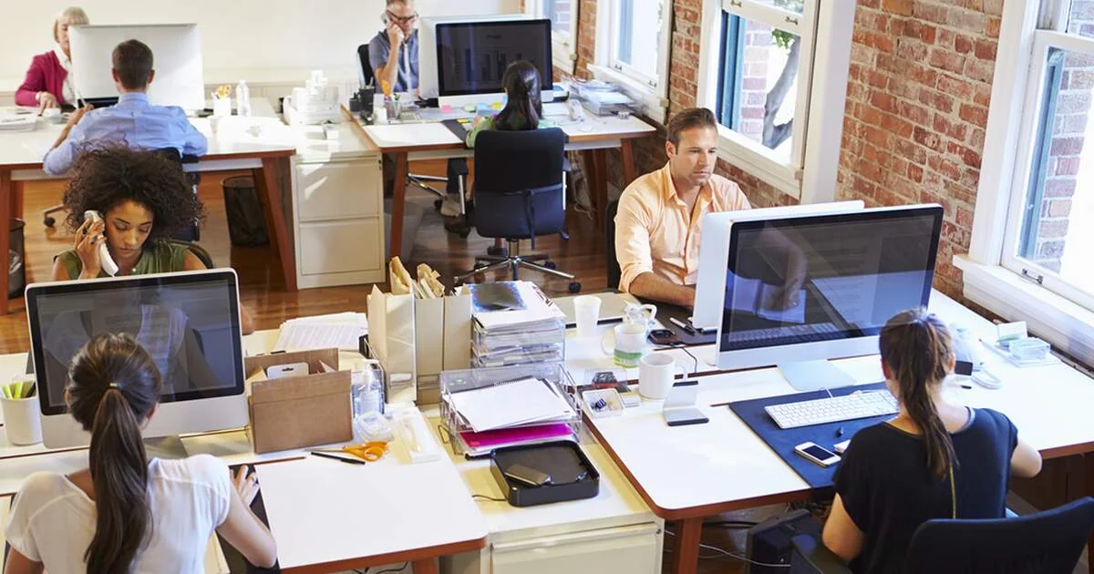 Hollanda İş İmkanları