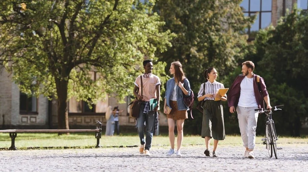 Hollanda Öğrenci Vizesi Şartları