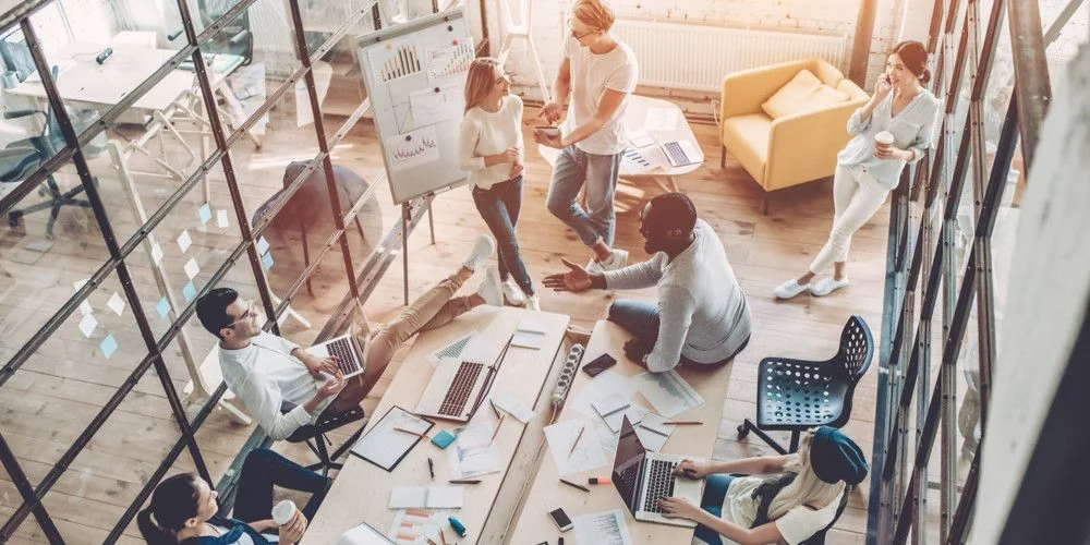 Hollanda Startup Vizesi