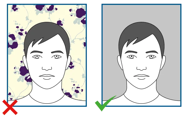 Hollanda Vize Fotoğrafı Arka Planı