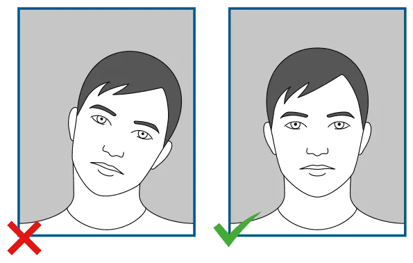 Hollanda Vize Fotoğrafı Duruş Örneği