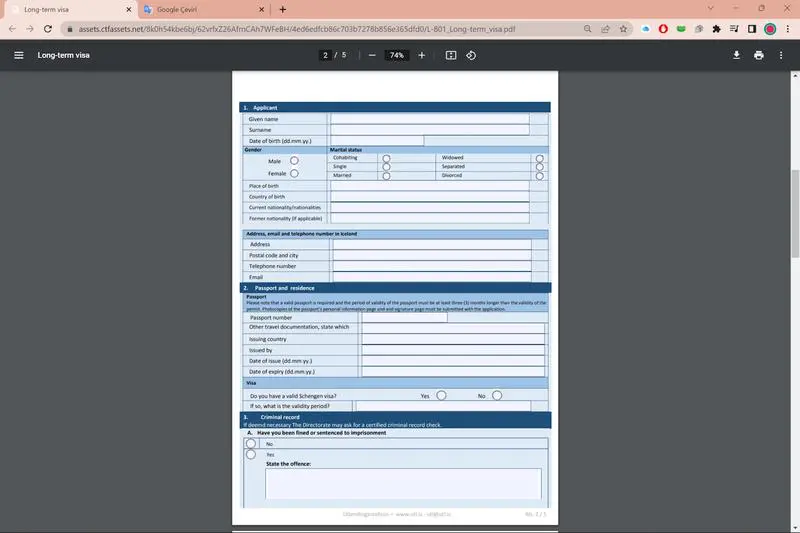 İzlanda D Tipi Vize Başvuru Formunda Hangi Bilgiler İstenir?