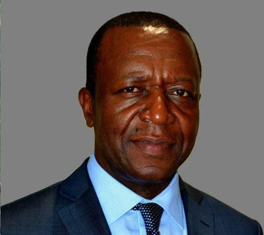 Kamerun Büyükelçisi