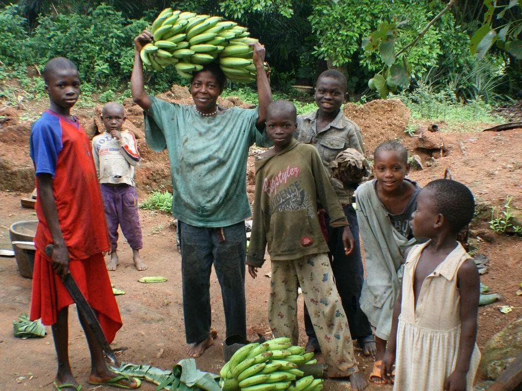 Kamerun'da yaşam