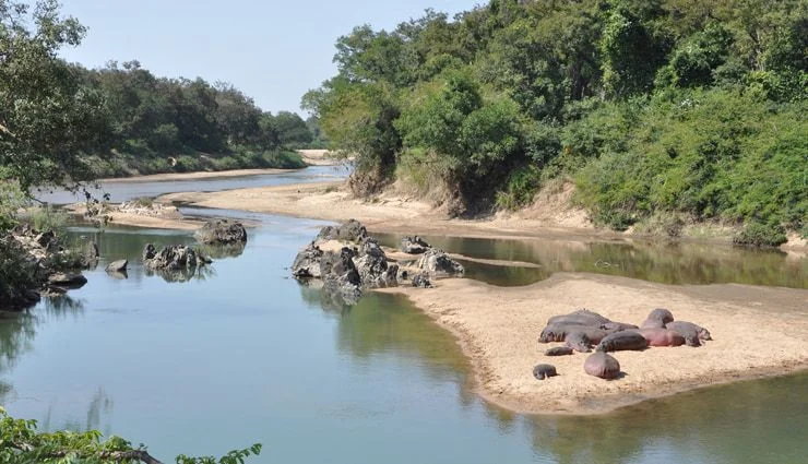 Kamerun Faro Ulusal Parkı