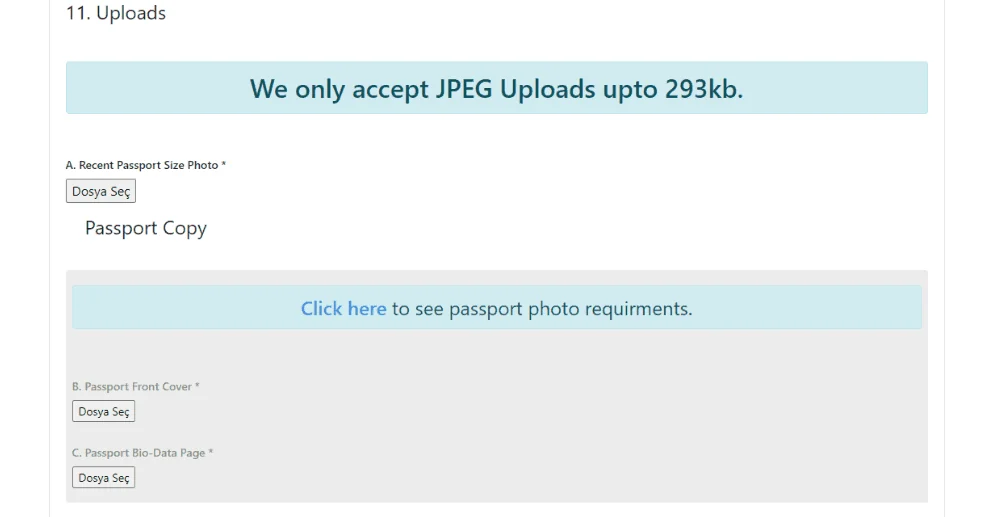Kenya E-Vize Başvurusu Adım 5