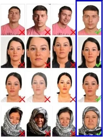 Lihtenştayn Vize Fotoğrafı Örnekleri