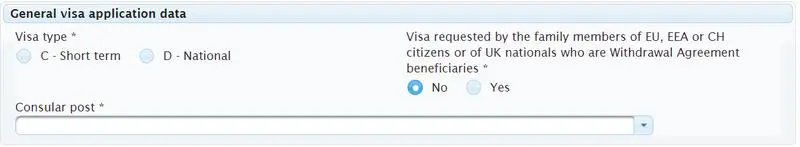 Litvanya Ulusal Vize Başvuru Formu Nasıl Doldurulur?