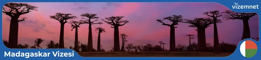 Madagaskar Vizesi