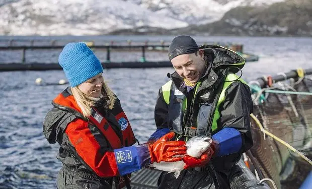 Norveç'te En Çok Aranan 10 Meslek Nelerdir?