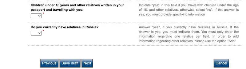 Rusya Online Vize Başvuru Formu Nereden Doldurulur? 6