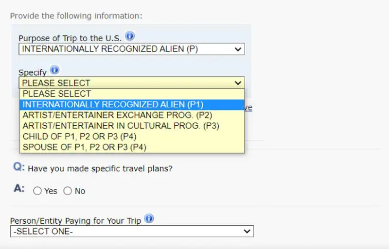 Sanatçılar ve Sporcular İçin Amerika P Vizesi Başvuru Formu