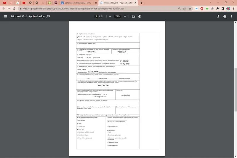 Schengen Vizesi Başvuru Formu Doldurulmuş Örneği 2
