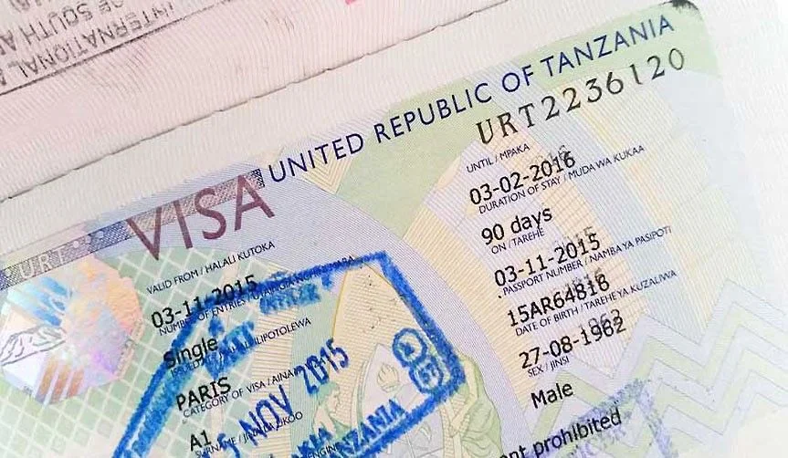 Tanzanya Vizesi